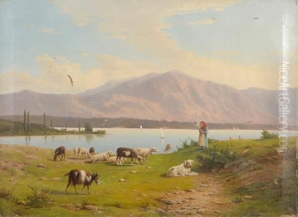 Sheep And Goats Grazing By A Lake Oil Painting by Alfonso Beccaluva