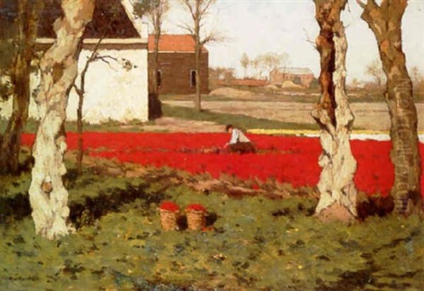 Bulb Field Oil Painting by Antonie Louis Koster