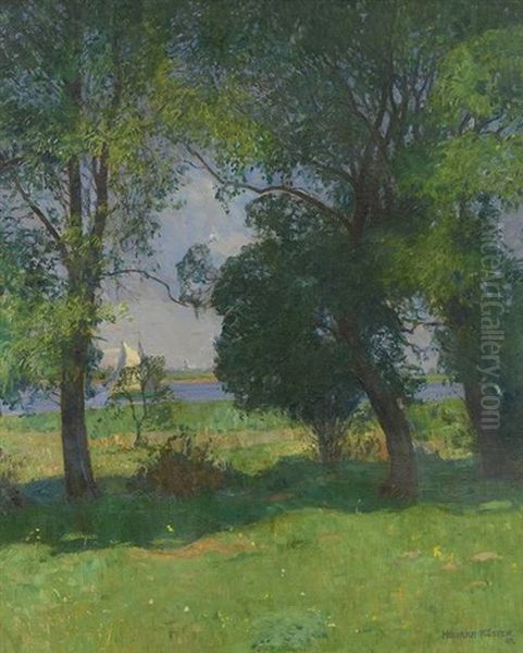 Fruhsommerliche Flusslandschaft Oil Painting by Heinrich Koester