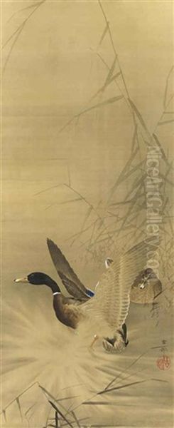 Two Ducks Amongst Reeds, One Taking Off Into Flight Oil Painting by Ohara Kosun