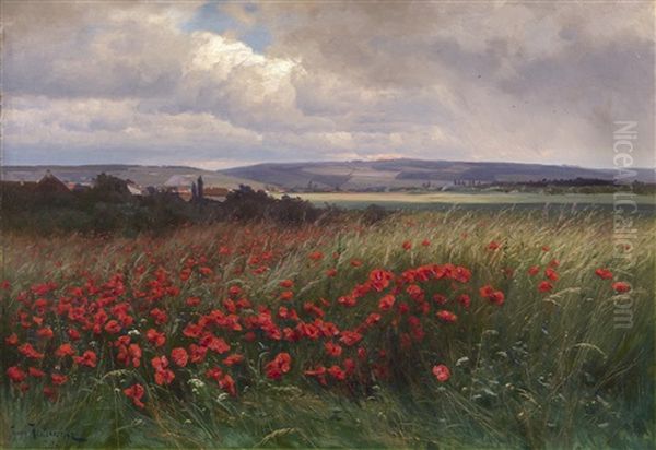 Poppies Oil Painting by Iosif Evstafevich Krachkovsky