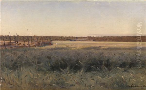 Summer Field Oil Painting by Iosif Evstafevich Krachkovsky