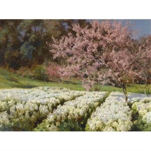 Spring Blossom Oil Painting by Iosif Evstafevich Krachkovsky