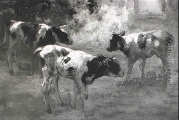 Calves Standing In Barn by Fedor Van Kregten