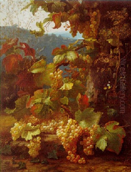 Grapes On The Vine Oil Painting by Alexis Kreyder