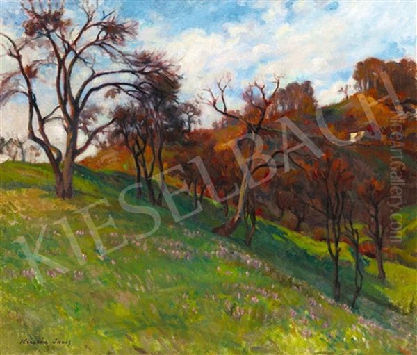 Autumn In Nagybanya (pulsatilla Field) Oil Painting by Janos Krizsan