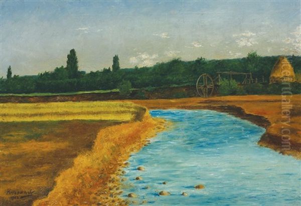 Mill On The Sasar River Oil Painting by Janos Krizsan