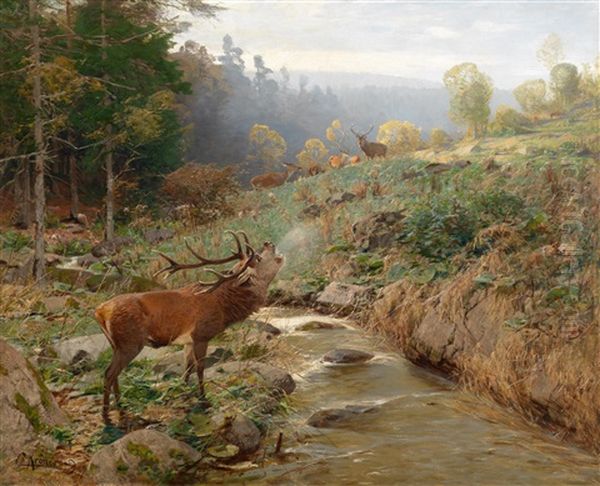 Rotwildrudel Auf Einer Waldlichtung Oil Painting by Christian (Johann Christian) Kroener