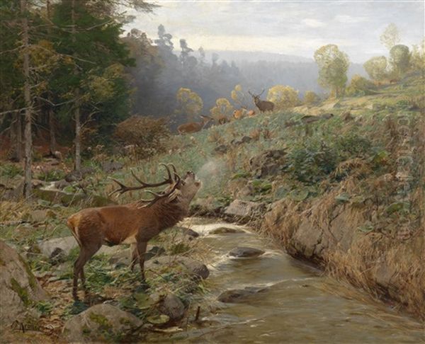 Rotwildrudel Auf Einer Waldlichtung Oil Painting by Christian (Johann Christian) Kroener