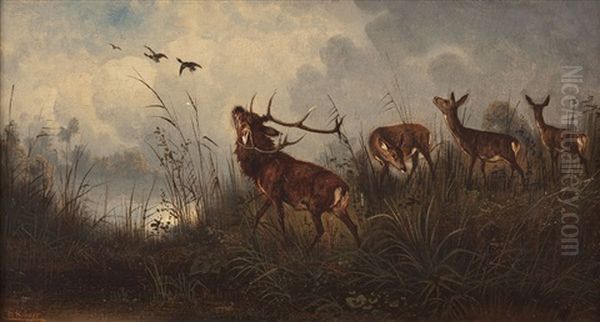 Rotwild Am Seeufer Oil Painting by Christian (Johann Christian) Kroener