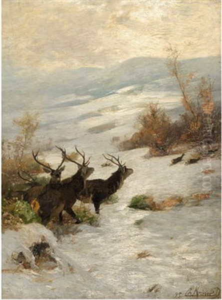 Hirsche Im Schnee Oil Painting by Christian (Johann Christian) Kroener