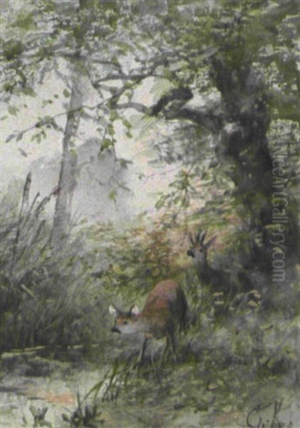 Rehe Am Bach Oil Painting by Christian (Johann Christian) Kroener