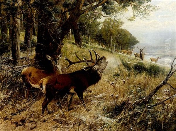 Hirschbrunft Oil Painting by Christian (Johann Christian) Kroener