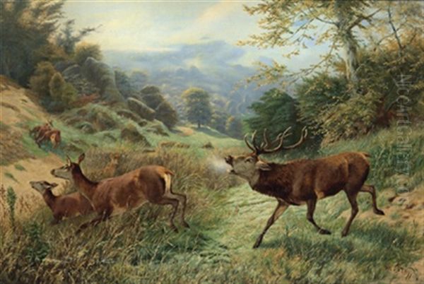 Rotwild Mit Rohrenden Hirschen In Weiter Morgenlandschaft Oil Painting by Christian (Johann Christian) Kroener