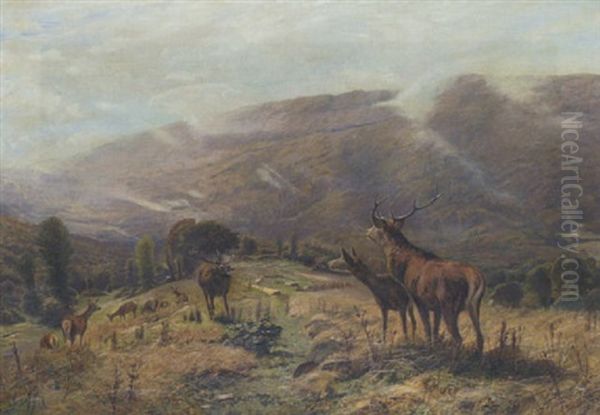 Hochwild In Gebirgslandschaft Oil Painting by Christian (Johann Christian) Kroener