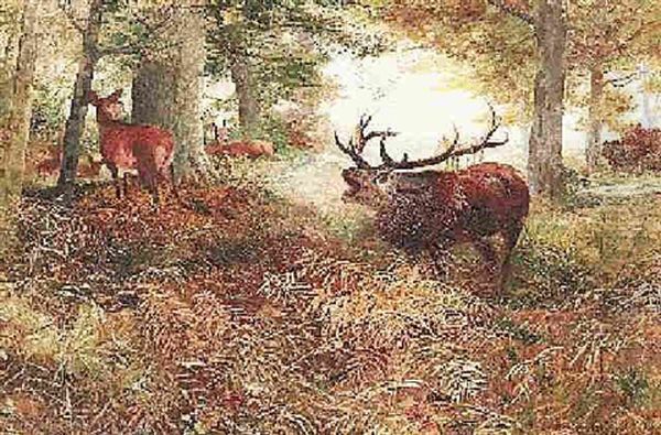 Rohrender Hirsch Im Herbstlichen Unterholz Oil Painting by Christian (Johann Christian) Kroener