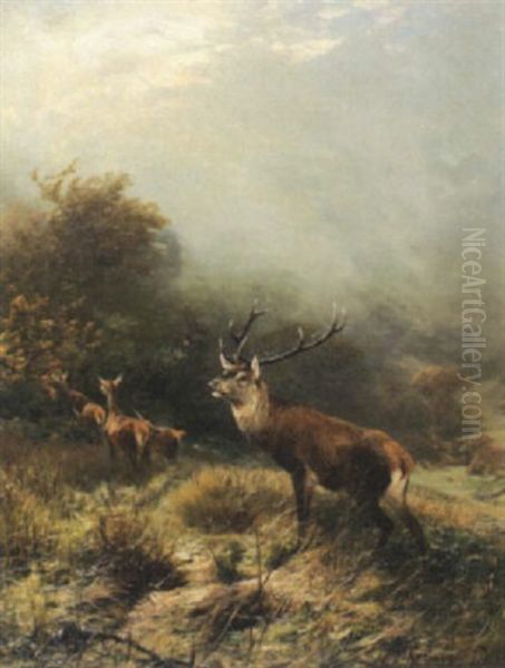 Hirschrudel Im Teutoburger Wald Oil Painting by Christian (Johann Christian) Kroener