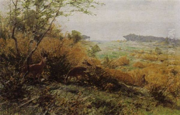 Deer In A Field Oil Painting by Christian (Johann Christian) Kroener