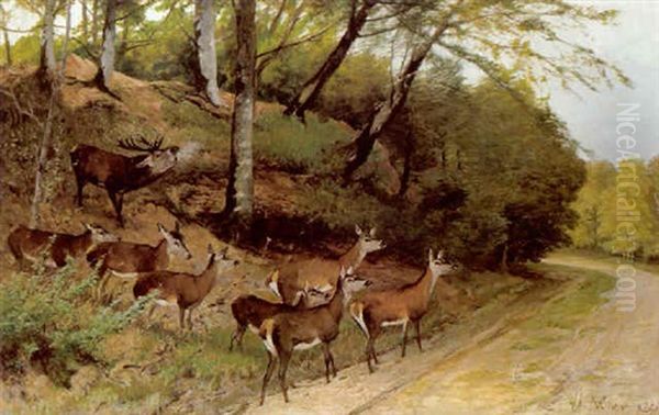 Hirsch Und Sein Rudel Beim Queren Eines Waldweges Oil Painting by Christian (Johann Christian) Kroener