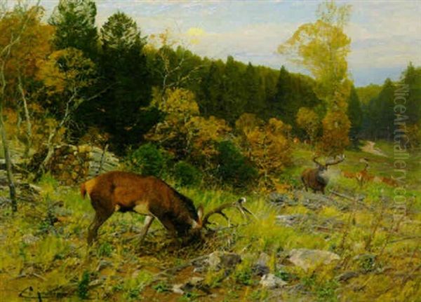 Hirschbrunft Auf Einer Waldlichtung Oil Painting by Christian (Johann Christian) Kroener