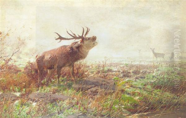 A Rutting Stag Oil Painting by Christian (Johann Christian) Kroener