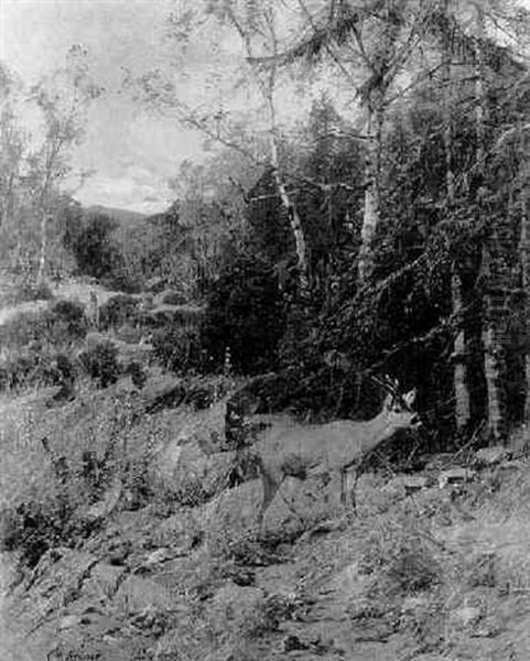 Asendes Rehwild Im Hochwald Oil Painting by Christian (Johann Christian) Kroener