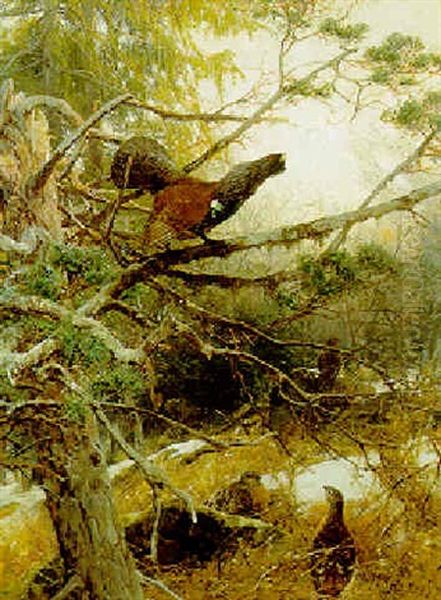 A Blackcock And A Grey Hen In A Woodland Clearing Oil Painting by Christian (Johann Christian) Kroener