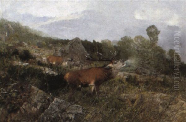 A Stag Roaring In A Mountainous Landscape Oil Painting by Christian (Johann Christian) Kroener