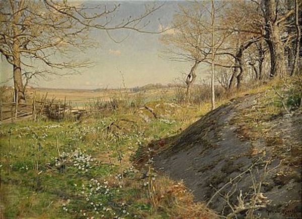 Solbelyst Skogsstig Oil Painting by Johan Fredrik Krouthen