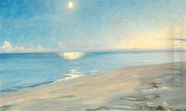 Moon Light At Skagen Beach Oil Painting by Peder Severin Kroyer