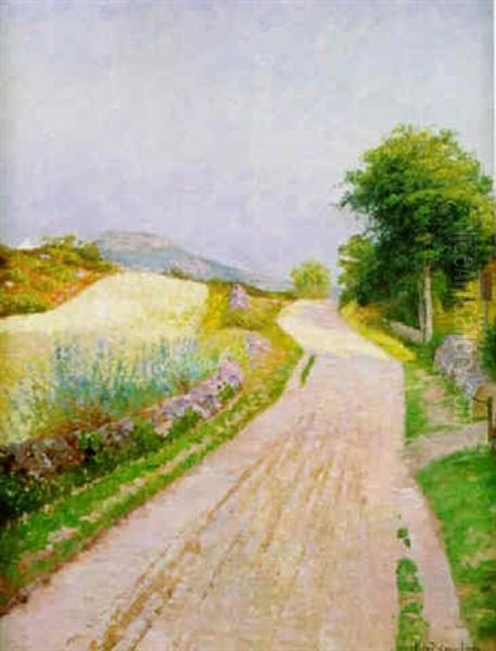 Blomsterkantad Sommarvag Oil Painting by Olof Krumlinde