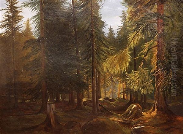 Clearing In The Forest Oil Painting by Konstantin Yakovlevich Kryzhitsky