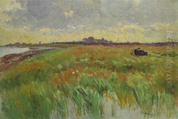 Boddenlandschaft Bei Prerow, Ostsee Oil Painting by Max Kuchel