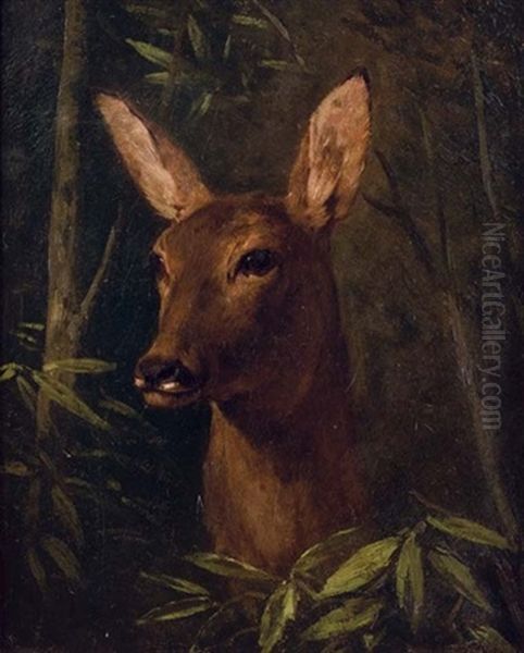 Head Of A Deer Oil Painting by Claude-Charles Kudhardt