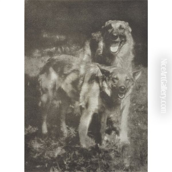 Poidl And Liddy In Sunlight (kuhn's Dogs) Oil Painting by Heinrich Kuehn