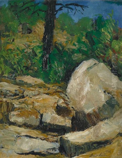 Spring Among Rocks, Prescott, Arizona by Walt Kuhn