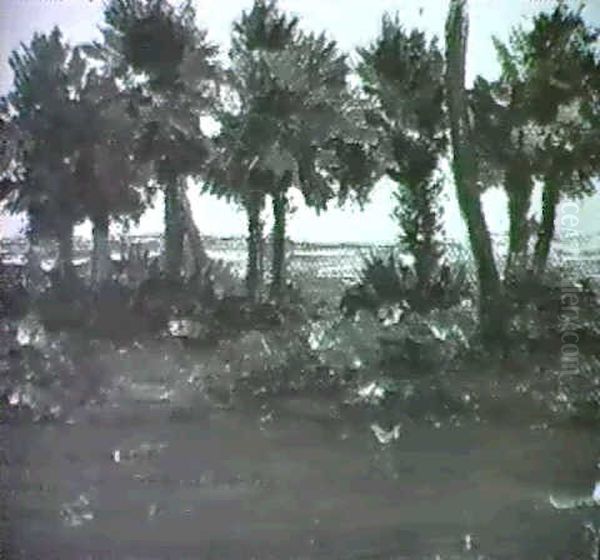 Early Morning Among The Cabbage Palms, Florida Oil Painting by Walt Kuhn