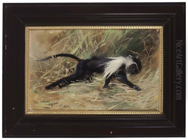 A Sleeping Monkey Oil Painting by Wilhelm Friedrich Kuhnert