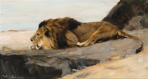 Lion On The Lurk Oil Painting by Wilhelm Friedrich Kuhnert