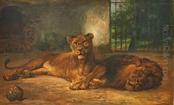 Resting Circus Lions Oil Painting by Wilhelm Friedrich Kuhnert