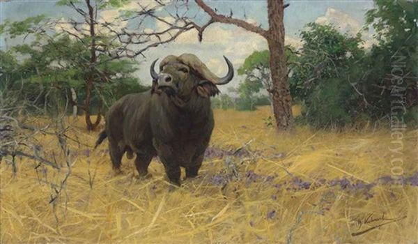 A Kaffir Buffalo In The Savannah Oil Painting by Wilhelm Friedrich Kuhnert