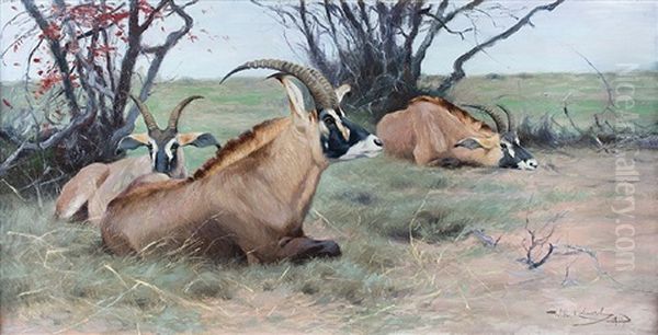 Roan Antelope Resting In The Shade Oil Painting by Wilhelm Friedrich Kuhnert