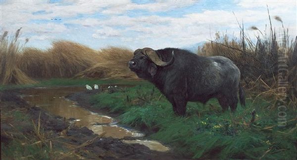 Kafferbuffel Am Tumpel Oil Painting by Wilhelm Friedrich Kuhnert