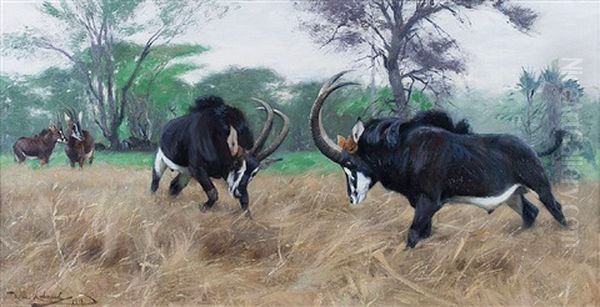 Sable Oil Painting by Wilhelm Friedrich Kuhnert