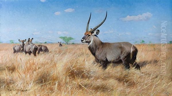 Waterbuck Oil Painting by Wilhelm Friedrich Kuhnert