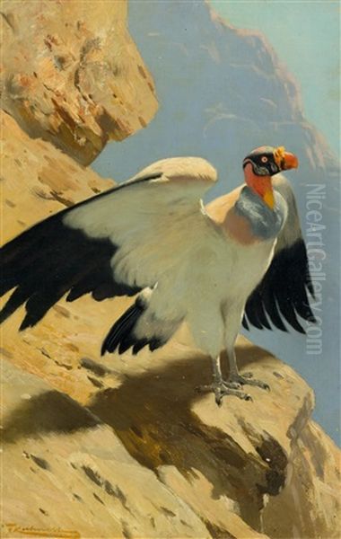 King Vulture Oil Painting by Wilhelm Friedrich Kuhnert