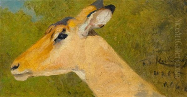 Impala Head Oil Painting by Wilhelm Friedrich Kuhnert