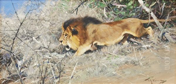 The Stalking Lion Oil Painting by Wilhelm Friedrich Kuhnert