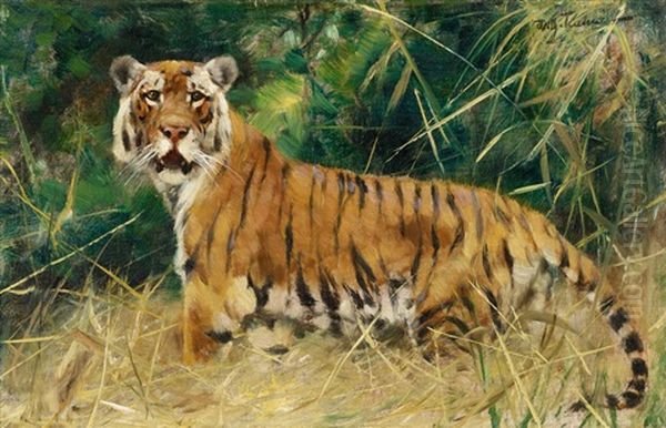 Tiger Oil Painting by Wilhelm Friedrich Kuhnert