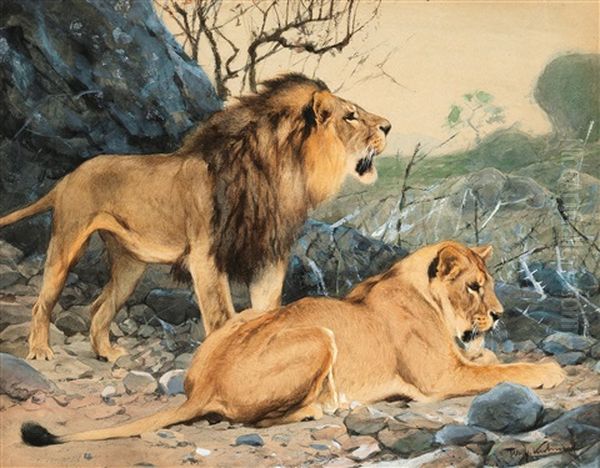 Pair Of Lions Crouching In Wait Oil Painting by Wilhelm Friedrich Kuhnert